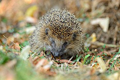 模拟在全球任意城市游玩！《无感染区》4月12日上线